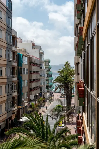 Casita Palmera - Cocina totalmente equipada